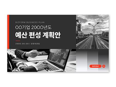파워포인트배경(차년도예산편성계획안)