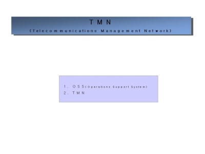 Ʈ ȼ(TMN(Telecommunications Management Network))